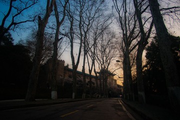 159DSC00010