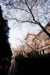 187DSC00073