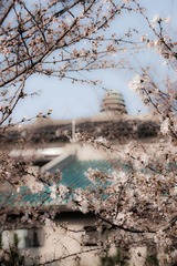 211DSC00159