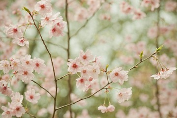 63DSC09526