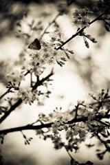 51DSC08497