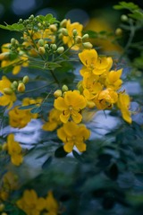 10DSC01668