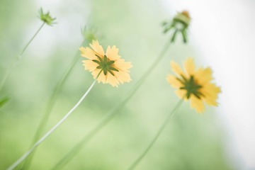 29DSC02597