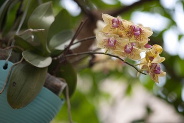 36DSC02668