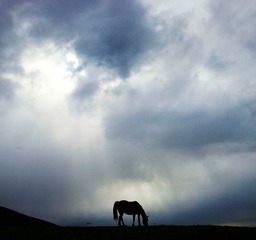 IMG_20130601_163955.jpg