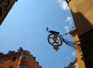 IMG_1233.jpg