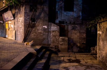 DSC_3058.jpg
