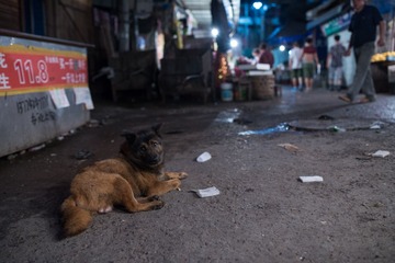 DSC_3167.jpg