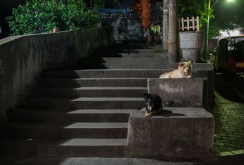 DSC_3189.jpg