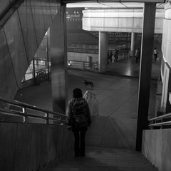 _DSC7960