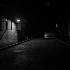 _DSC8236