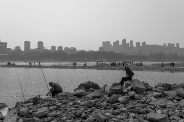 _DSC8262