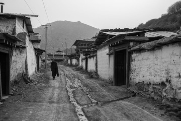 _DSC9799