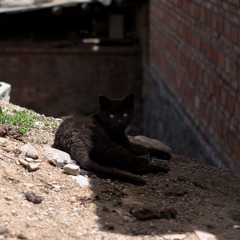 _DSC0007