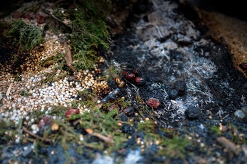_DSC9970