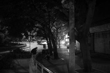 _DSC0233