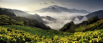 竹筒坦_全景图1有菊花a