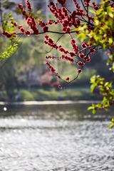 _C8A13781