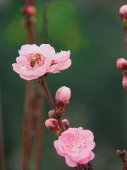 001
