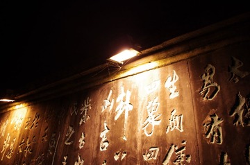 IMGP1259.JPG