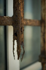 _IGP2141-2.jpg