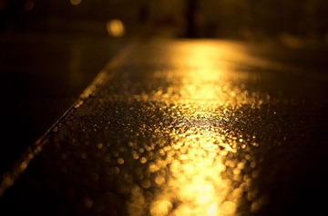_IGP2210.jpg