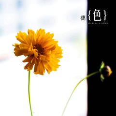 IMG_6952-编辑.jpg