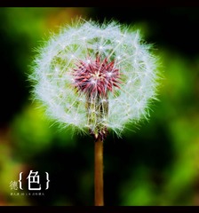 IMG_7060-编辑_副本.jpg