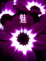 20130330_133227-编辑_副本.jpg