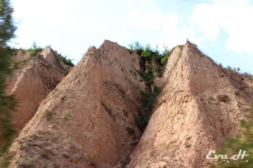 SD021.jpg
