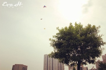 XA010.jpg