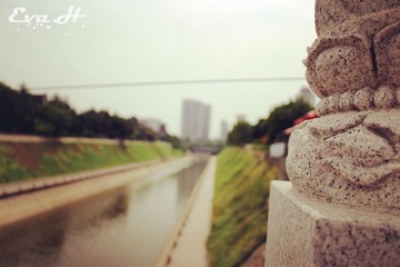 XA018.jpg