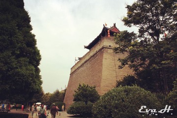 XA040.jpg