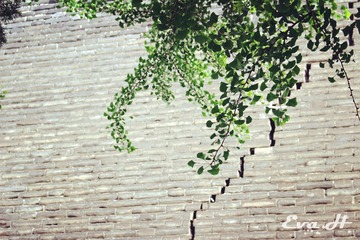 XA025.jpg