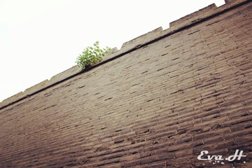 XA034.jpg
