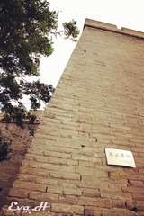 XA042.jpg