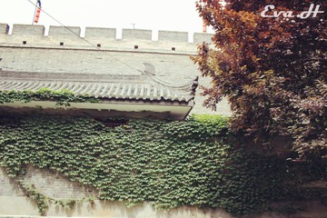 XA050.jpg