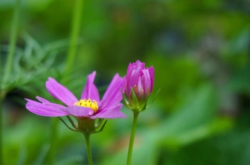 DSC00118_副本.jpg