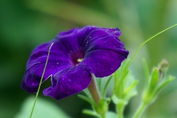 DSC00119_副本.jpg
