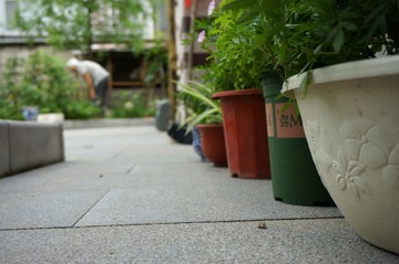 DSC00137_副本.jpg