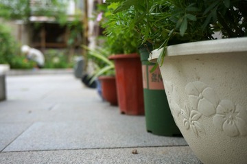 DSC00139_副本.jpg