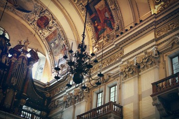 IMG_2557.jpg