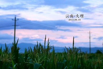 P1020866