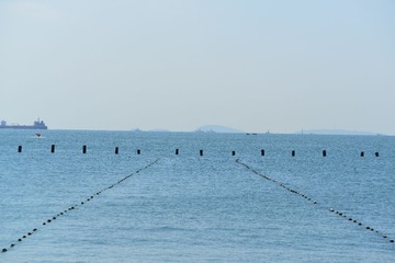 CHJ_2786