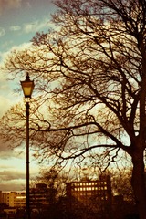 36A_0086.jpg