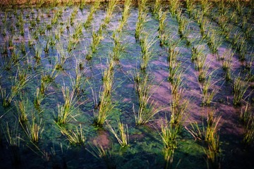 19A_0101.jpg