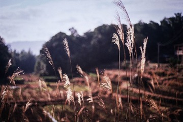 13A_0107.jpg