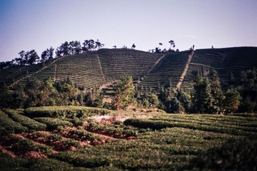 18A_0102.jpg