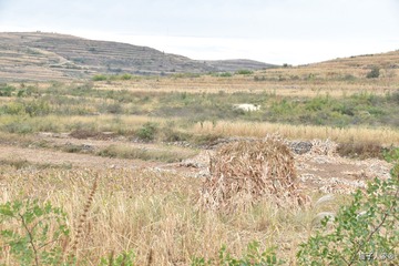 1606657