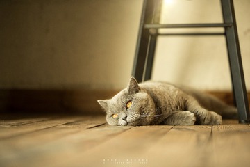1_